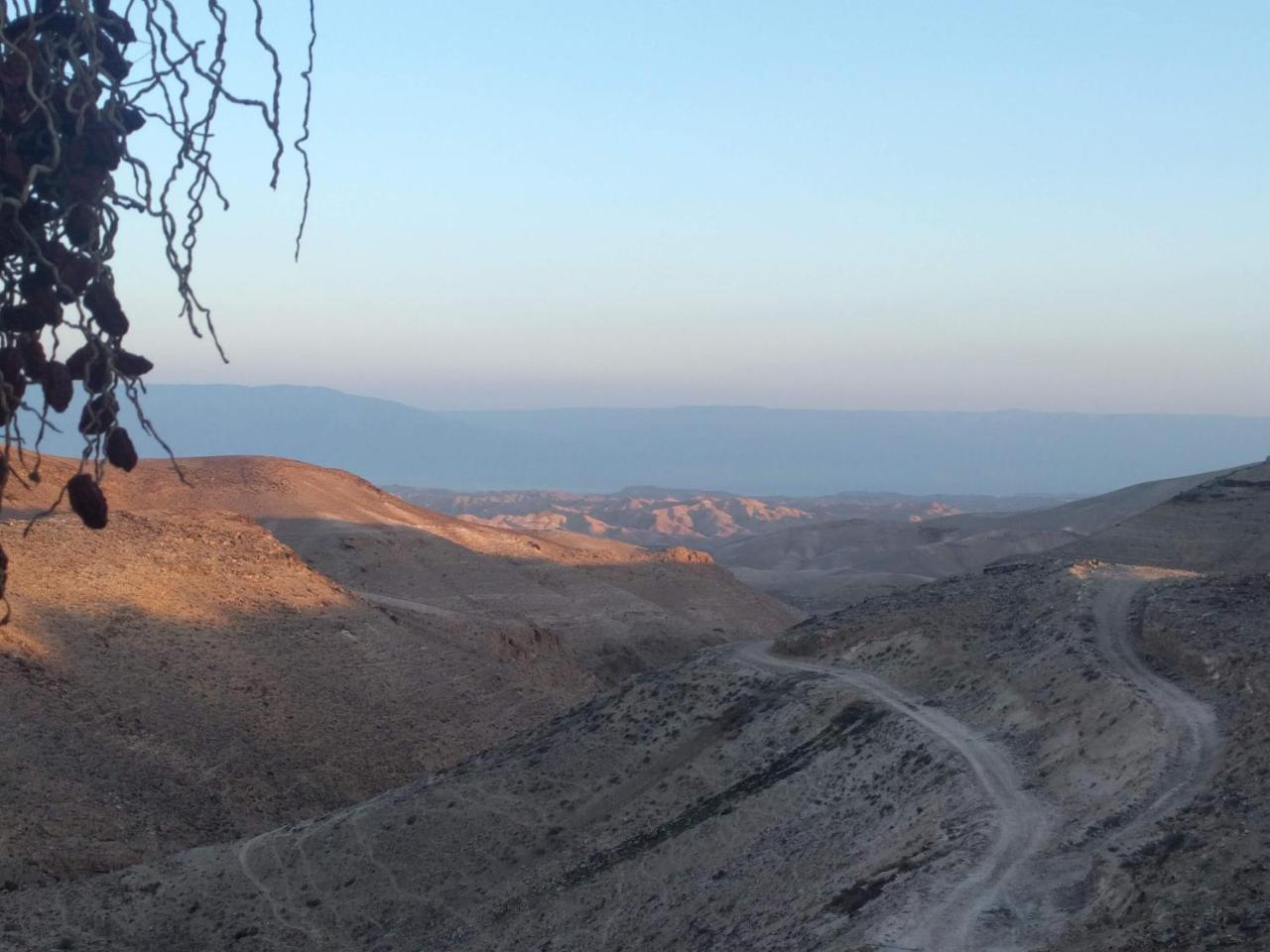 Dead Sea Desert'S Edge อารัด ภายนอก รูปภาพ