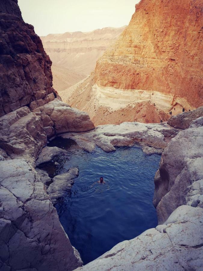 Dead Sea Desert'S Edge อารัด ภายนอก รูปภาพ