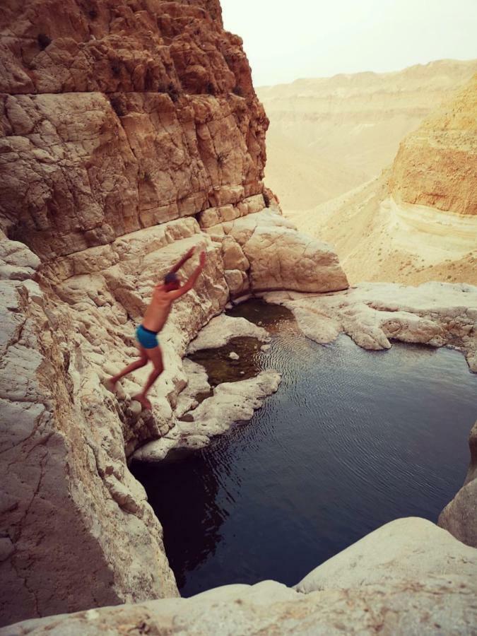 Dead Sea Desert'S Edge อารัด ภายนอก รูปภาพ