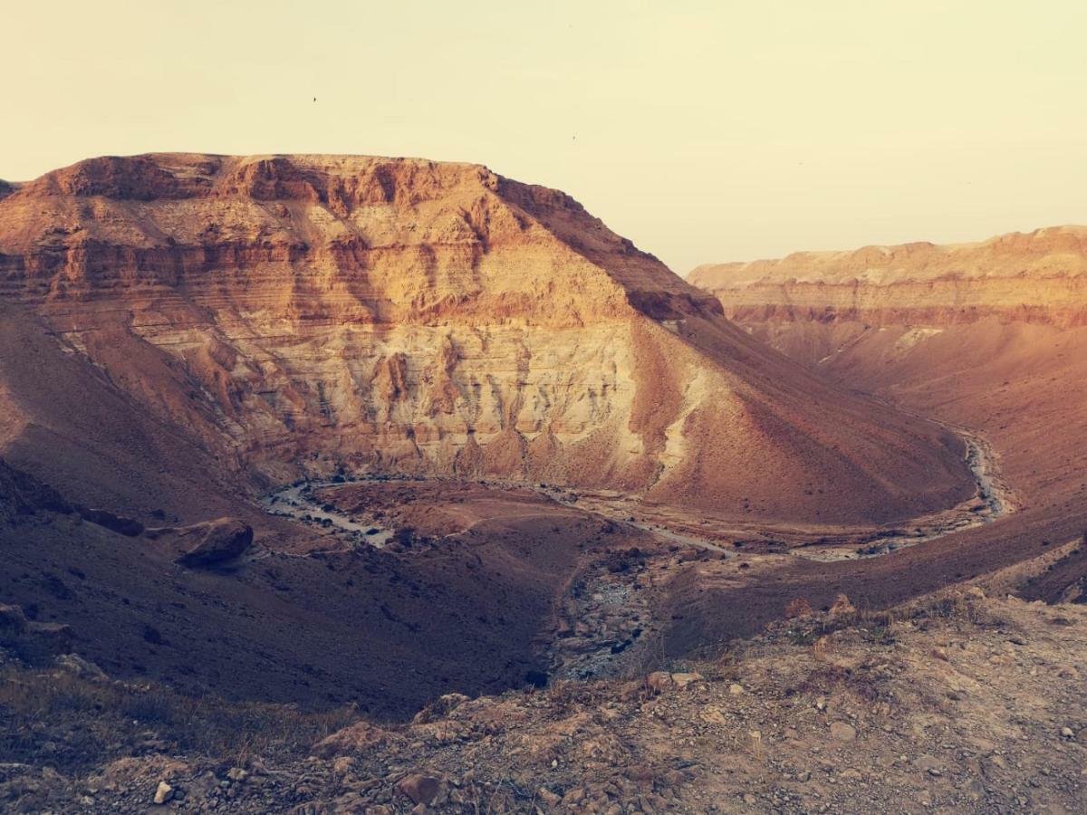 Dead Sea Desert'S Edge อารัด ภายนอก รูปภาพ